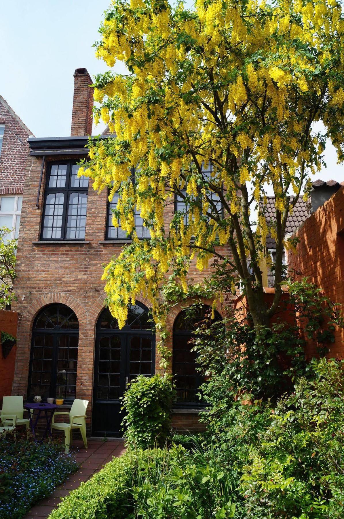 Couette-café Next Door 4*